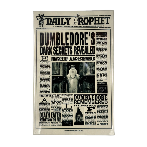 Edição Especial Harry Potter - Dumbledore